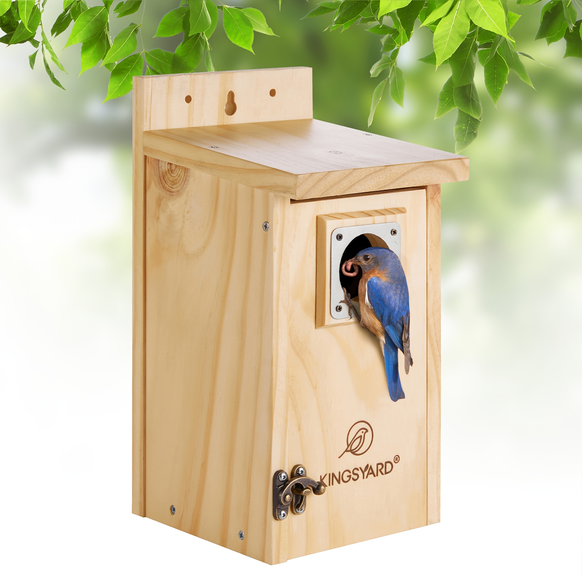 TEMU Kingsyard For Blue Bird House For Outdoors, Classic Wooden Bluebird House With , Houses For Outside Cedar Bird House Outdoor, Finch Swallow
