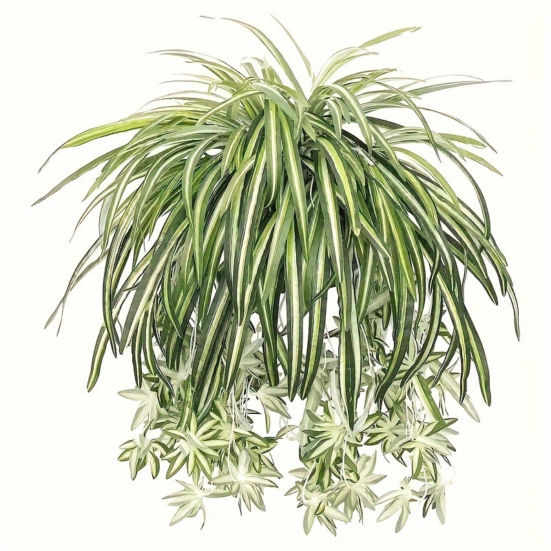 

Large Artificial Spider Plants - Silk Greenery For Indoor & Outdoor Decor, Home, Garden, Office, And Wedding