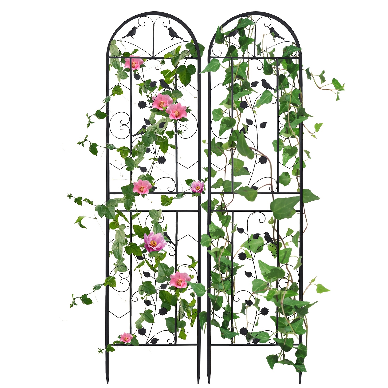 E-shop 2 Stück 210x50cm Metall Gartenspalier für Kletterpflanzen, Schwarze Metallbeschichtung Rostfrei, zur Unterstützung von Kletterpflanzen im Freien