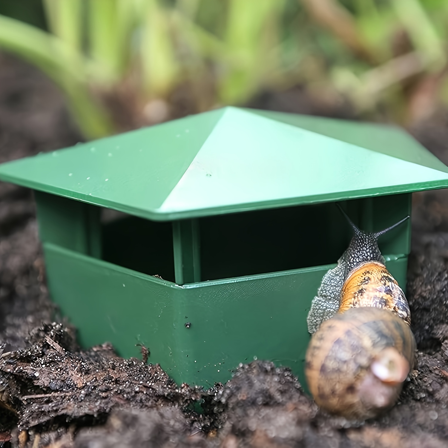 

Snail & Slug Traps, Insect-control , Pest Solution, Garden Protection, Non-electric Use Gardening Tools