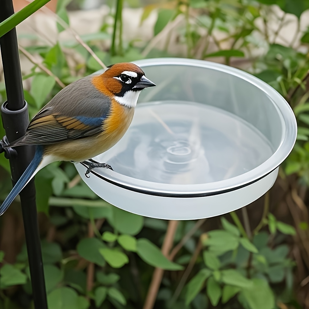 durable plastic bird feeder with clear viewing window easy clean hanging design for easy observation of food levels ideal for pigeons and small birds bird feeding station