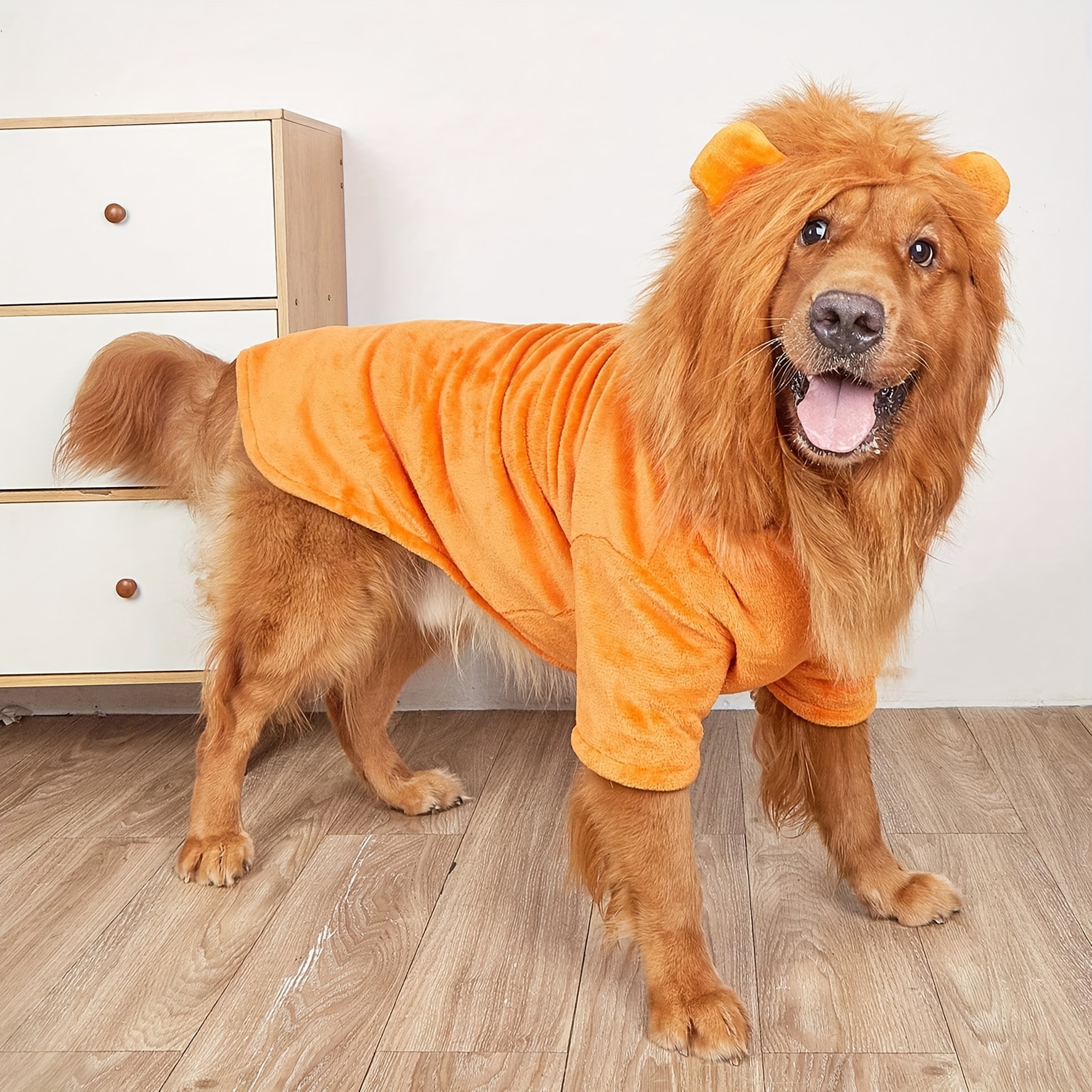 dog lion costume sold on Temu United States
