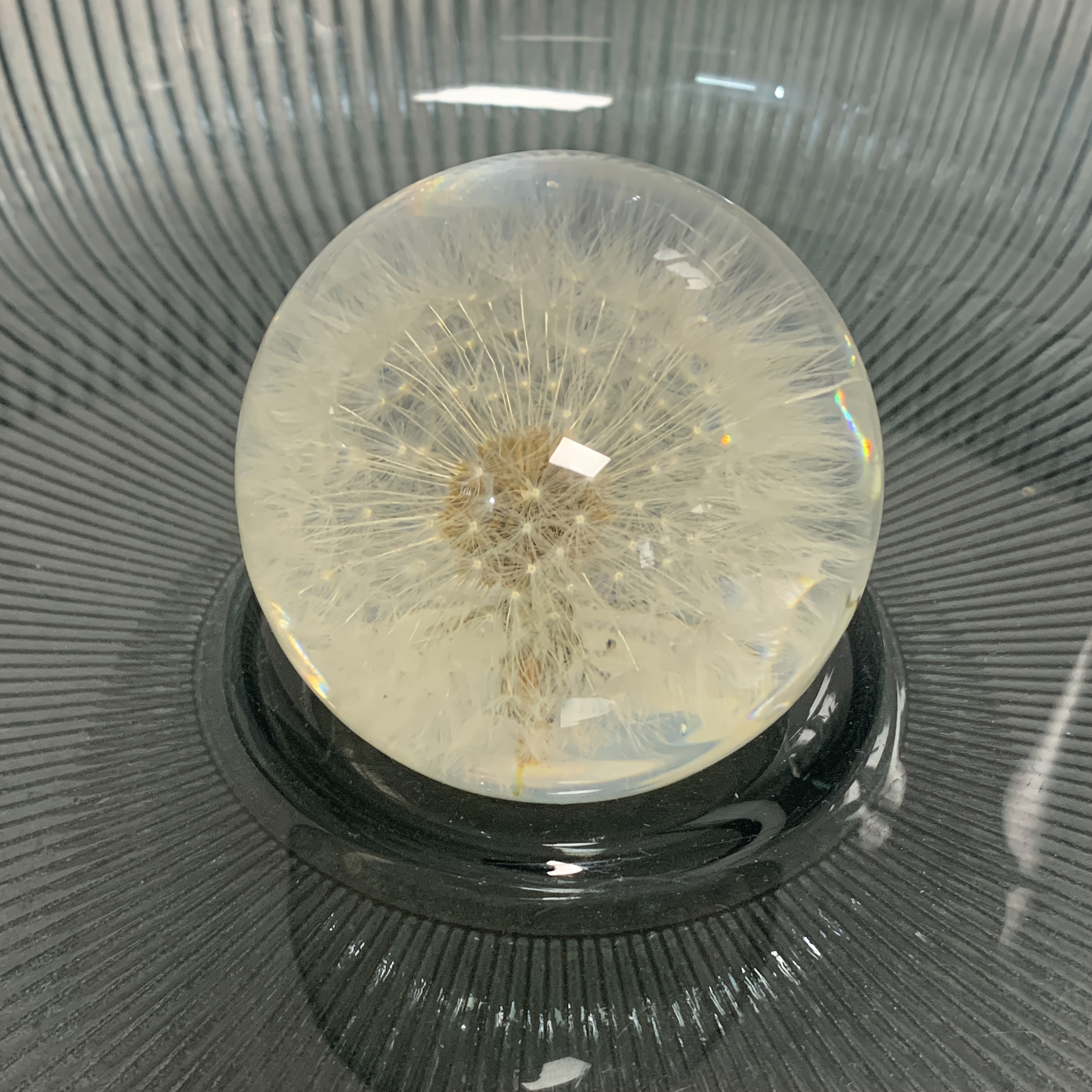 Authentic Dandelion Crystal Ball With Resin Lens - 2.76" Natural Plant Specimen, Ideal For Home Decor & Christmas Gifts, Glass Material, No Power Required