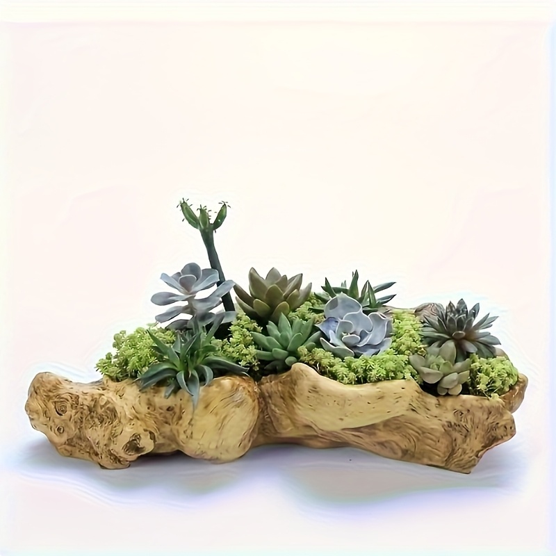 succulent candles Mexican Cactus Candle 3x2 in Pair | Beeswax Decorative Candle
