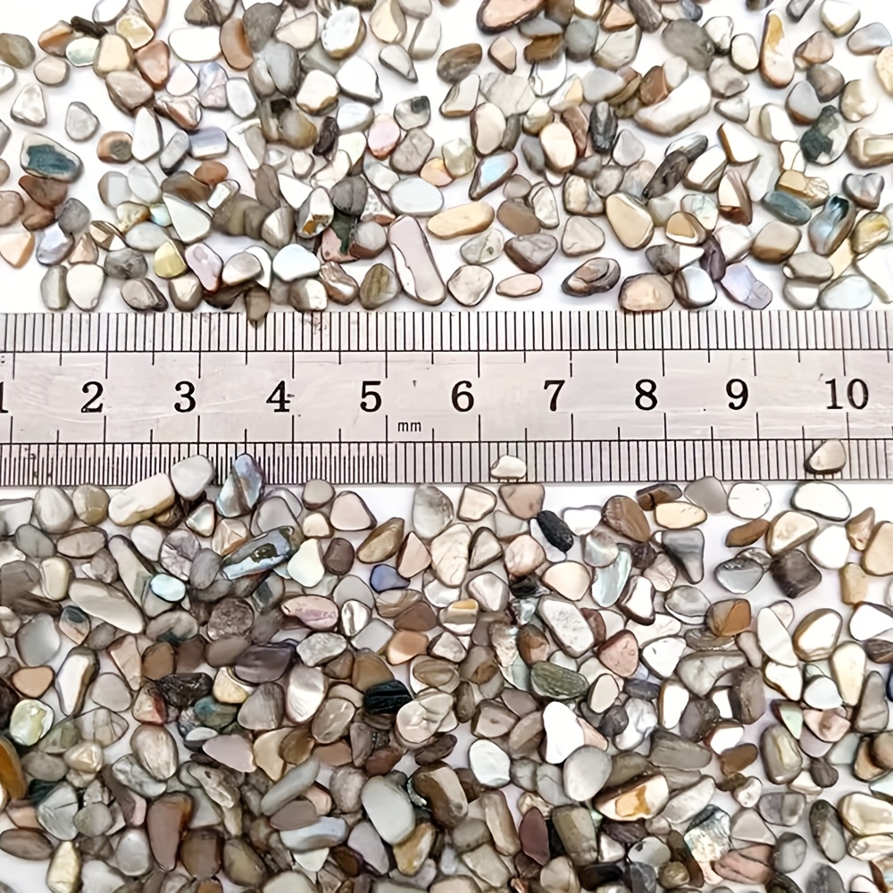 280pcs Natural Abalone Shell Chips for DIY Crafts