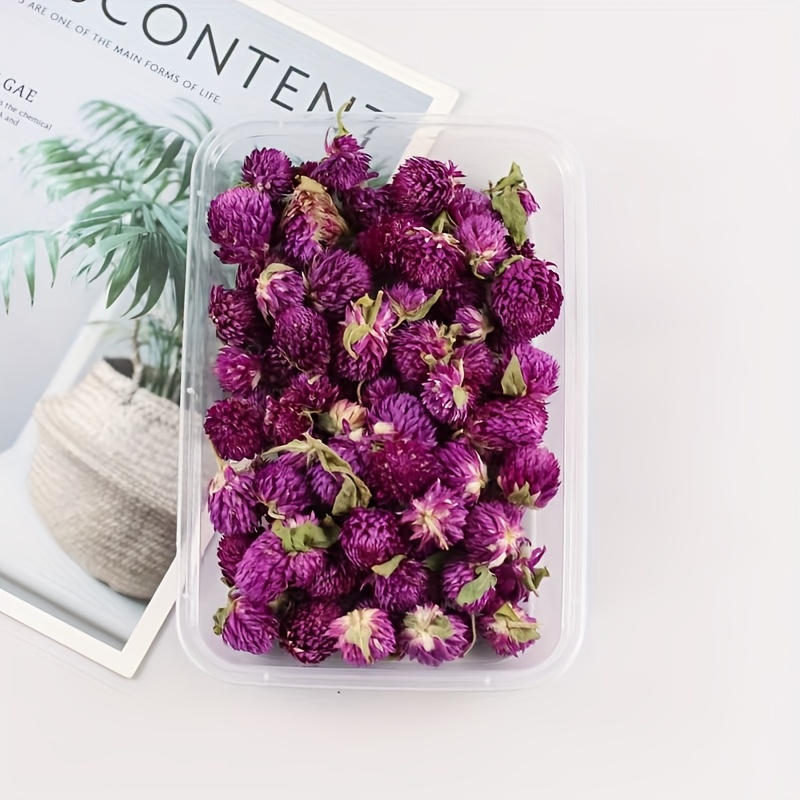 Preserved Flower DIY Kit with 8-10 Flower Types, Photo Frame, Candle, Aromatherapy, Soap, Straw Hat Materials, Gift Set