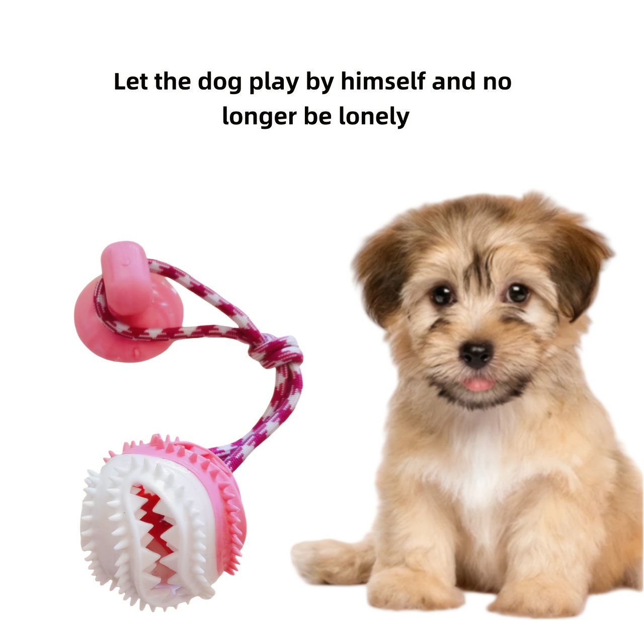 suction cup dog ball