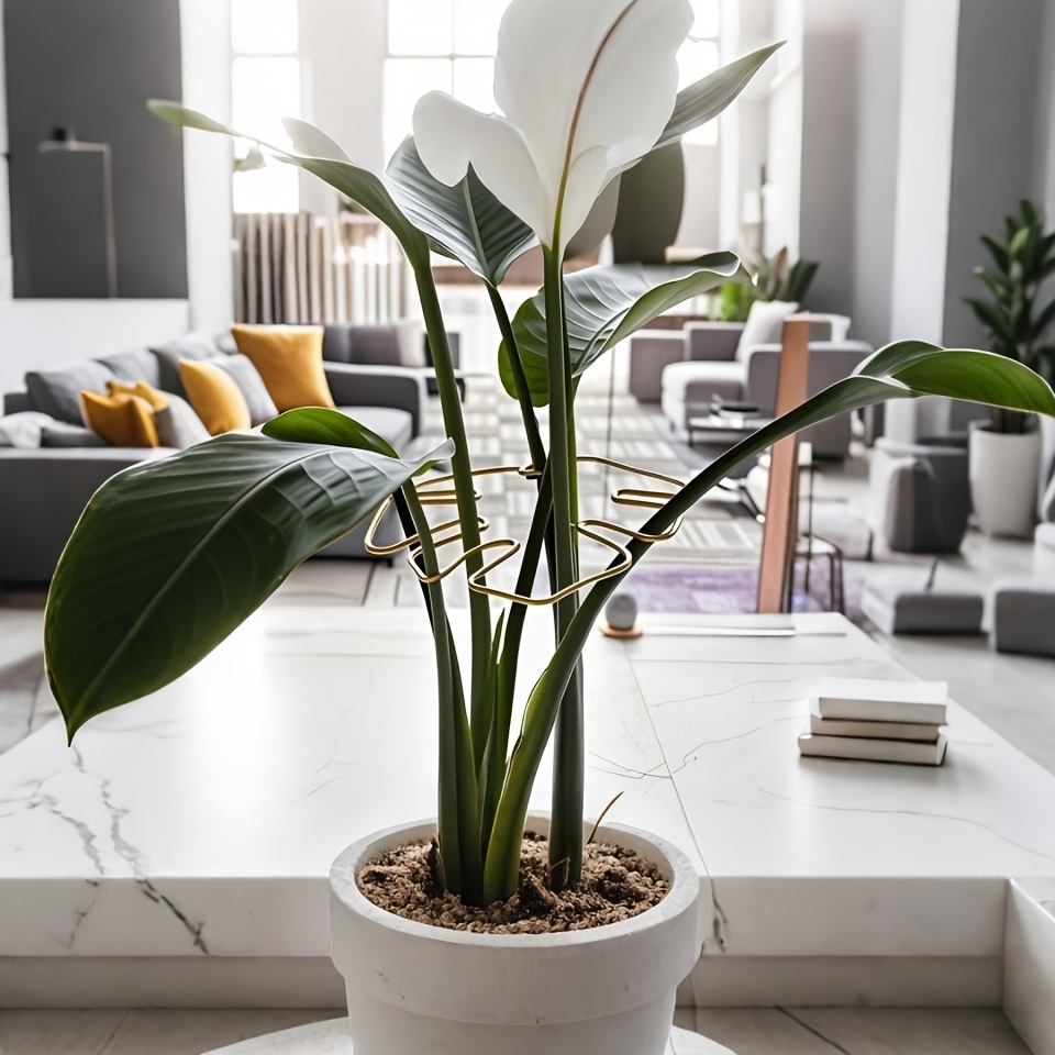 Plant Stem Support - Durable Monstera Stabilizer Grab Bar, Unique Climbing Plant Design, Turtle-Shell Bungie Kit, Ideal Plant Support for Healthy Growth, Decorative Plant Support