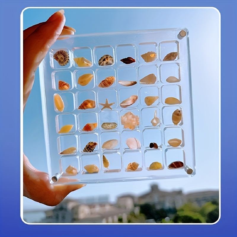 

1pc Acrylic Shell Display Case - Transparent Mini Jewelry & Conch Storage Box, Durable Magnetic Closure