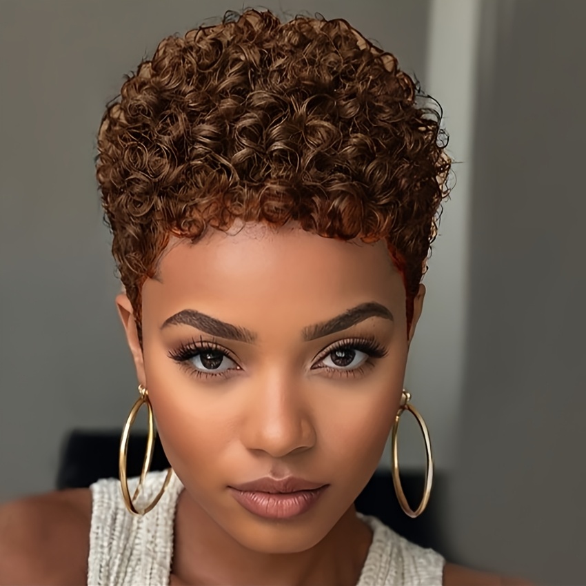 TEMU Short Afro Curly Wig 2 Colors Short Hair Synthetic Wigs For Women Short Hair Wigs For Summer Beginner Friendly