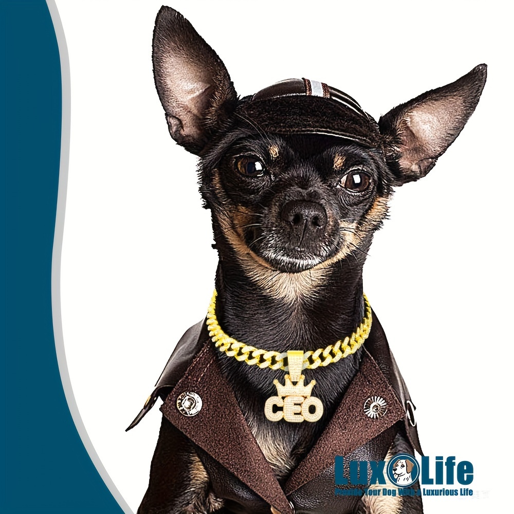 Golden Plated Dog Chain Collar Necklace With CZ &*;CEO&*; Letter Wearing A  Cuban Link Dog Collar 13mm Wide Dog Necklace Cat Chain Pet Collar Jewelr