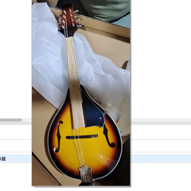 md 10】エスニック楽器 マンドリン 8弦ギター musical instruments