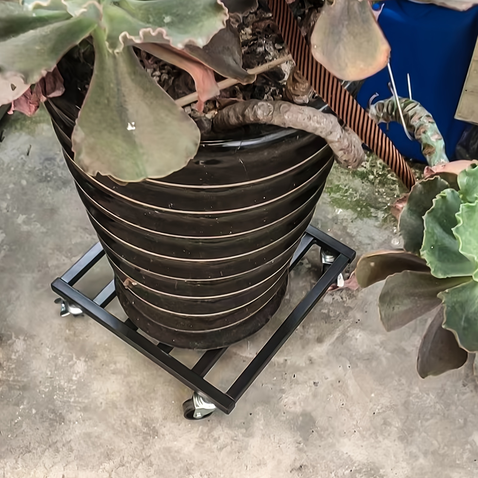 Pflanzen-Caddy Mit Rädern 30x30 Cm – Robuster Pflanzenwagen Mit Feststellbaren Rollen Für Drinnen & Draußen