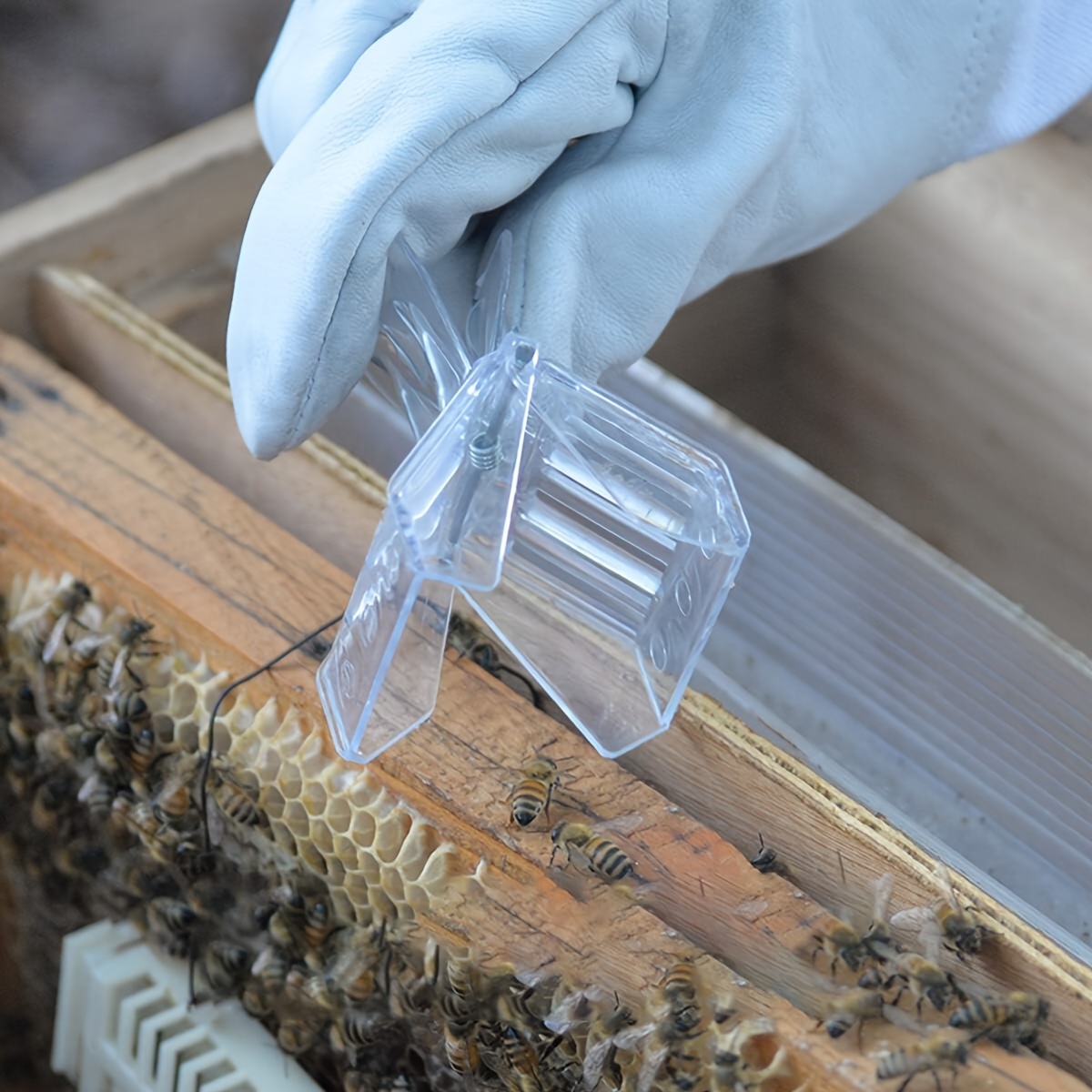 Produktbild von 5x Bienenkönigin-Clip Transparent – Imker-Werkzeug Zum Fangen, Markieren & Umsetzen Der Königin