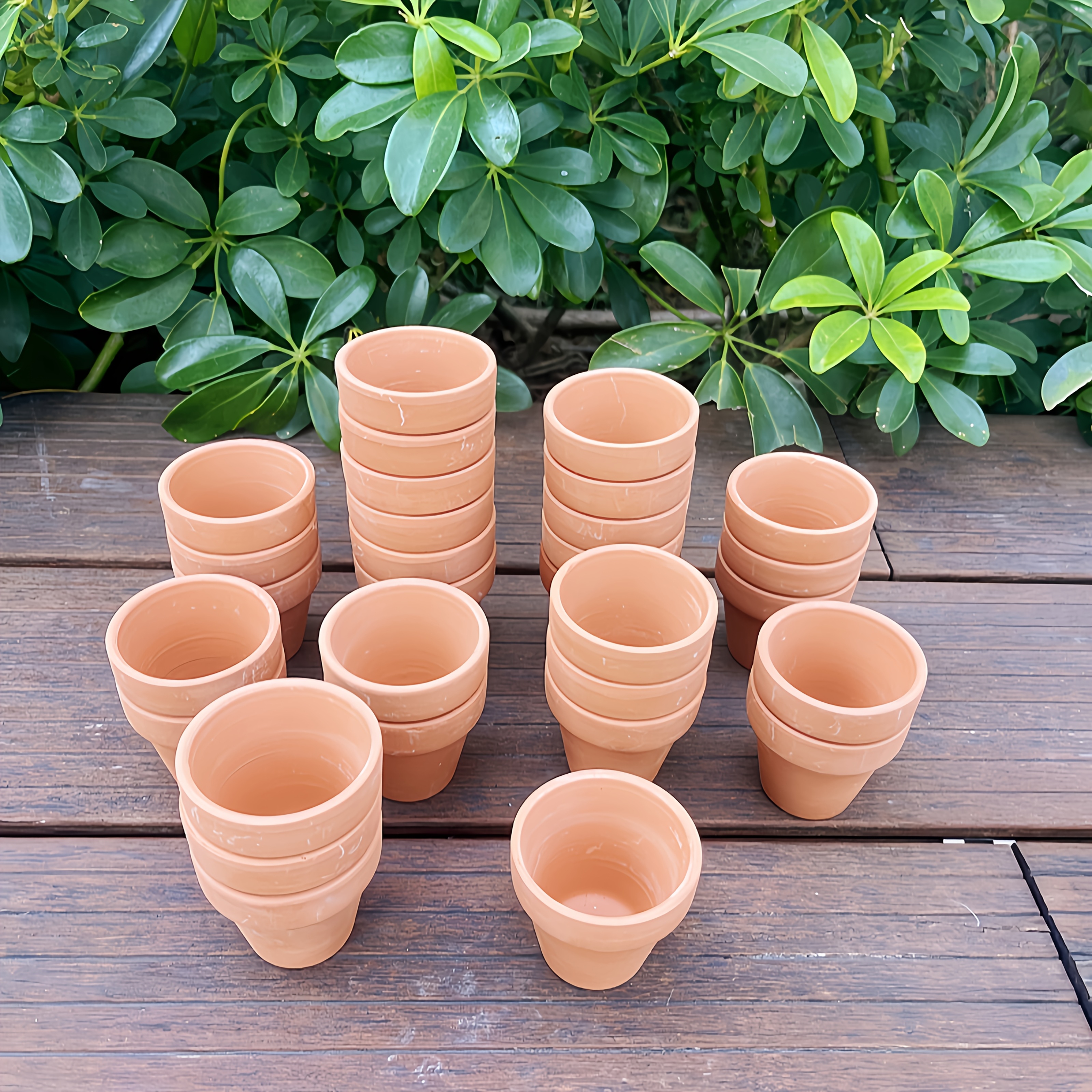 Vasi piccoli piante grasse - Vasi e coprivasi: sul nostro shop tanti modelli per ogni esigenza...Vasi per fiori e fioriere - IKEA ItaliaVaso Latta a Vasi, cestini e fioriere per piante - eBay