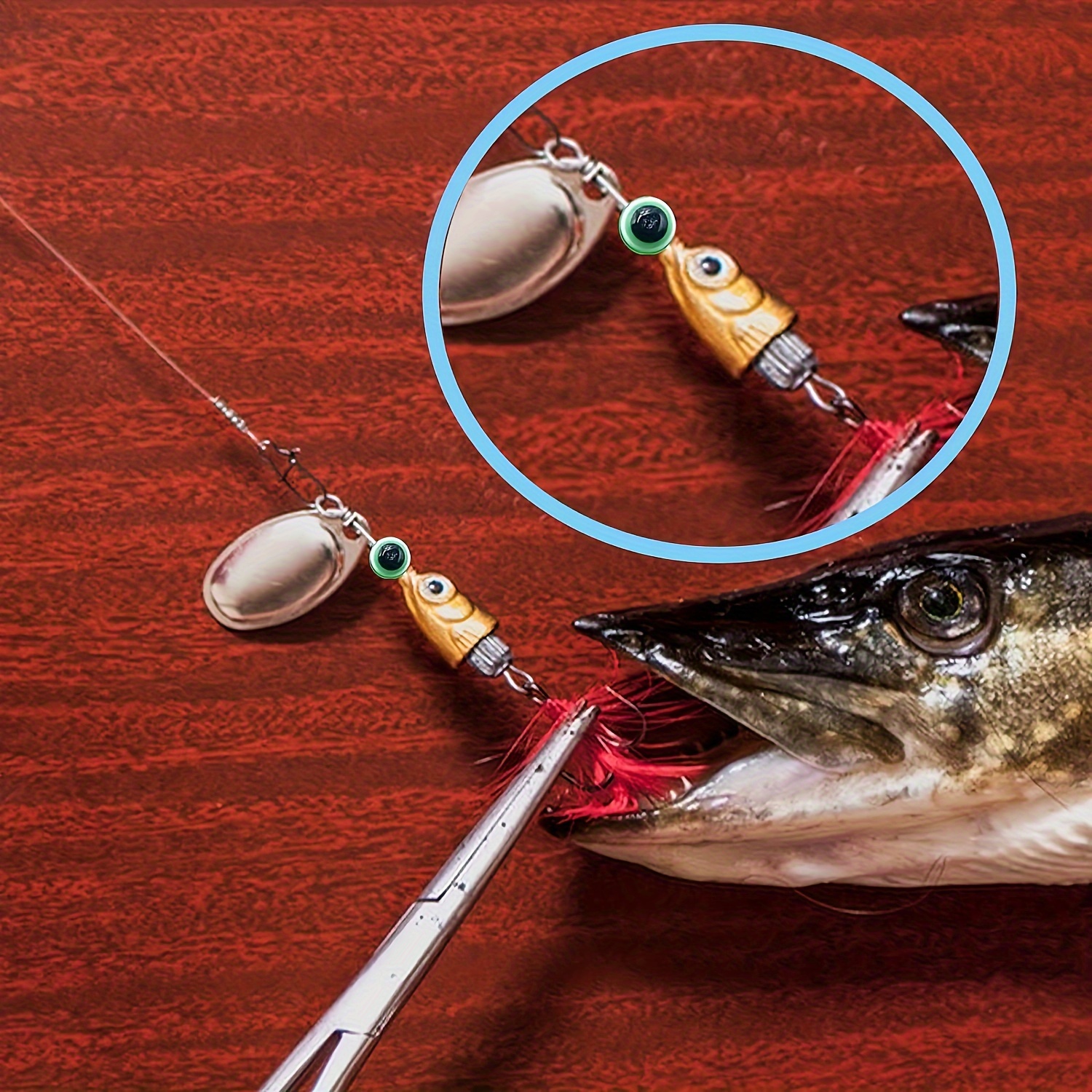 barber pole fish 160 Barber Fishes Stock Photos, High-Res Pictures, and Images