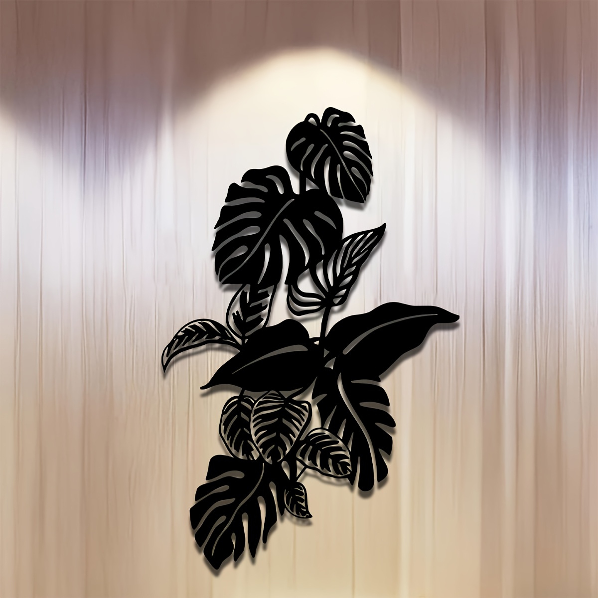 philodendron whipple way Philodendron Whipple Way main image 0