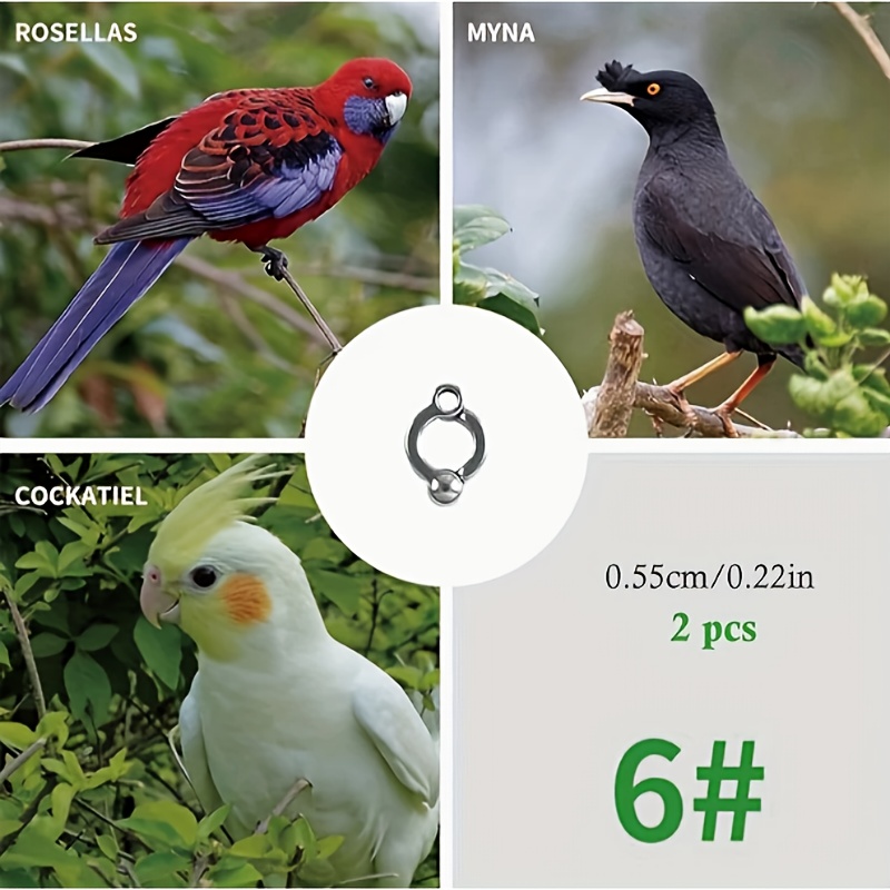 TEMU 2 pezzi Anelli per piedi di pappagalli di dimensioni realizzati in per cockatiel/budgerigar/ , anelli per piedi di uccelli con mobile, anelli di