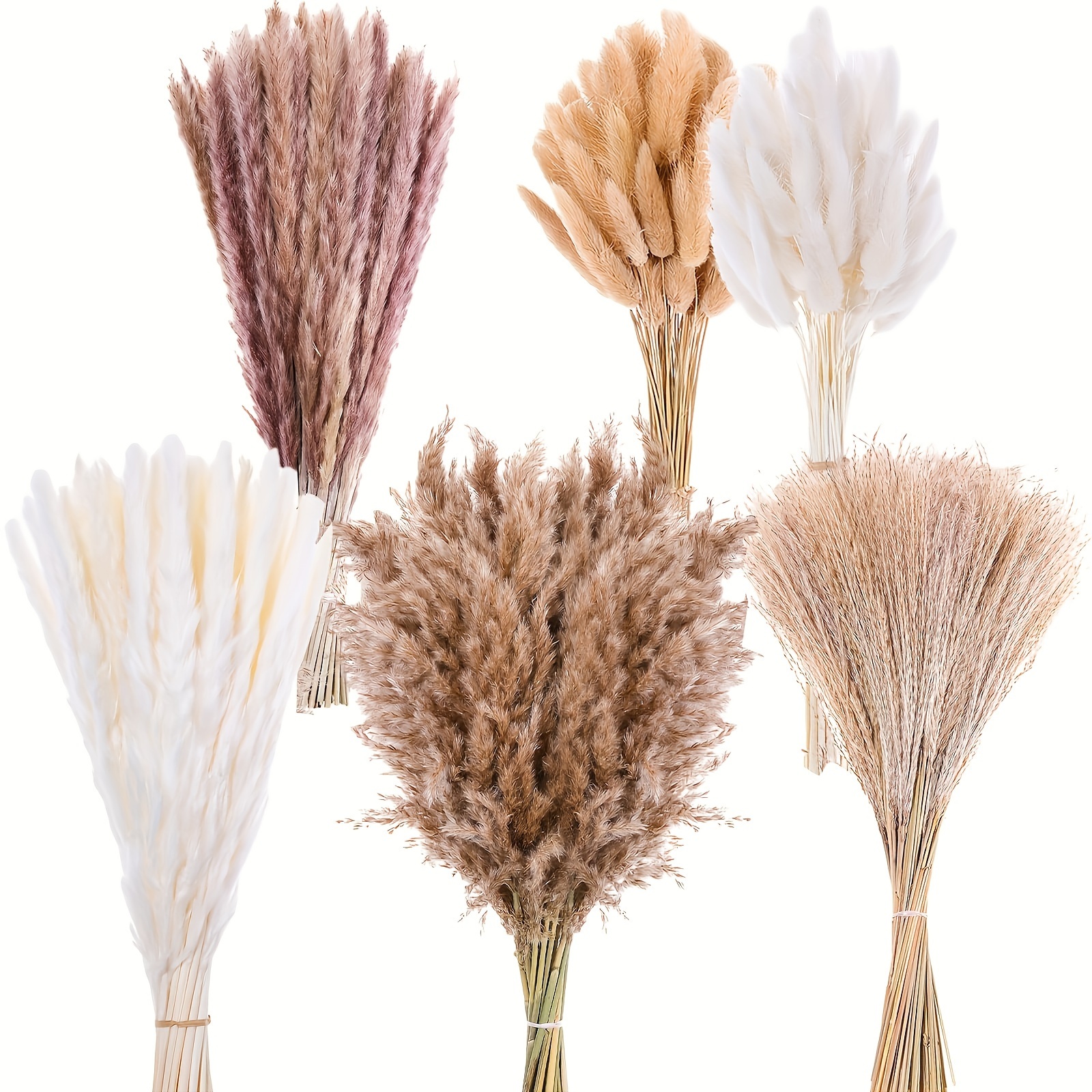 

320pcs Dried Small Reeds Set For Vase Decor, Dried Pampas Grass Bouquet, Flower Arrangements Centerpiece, Wedding Bridal Engagement Shower Bachelor Birthday Anniversary Party Supplies