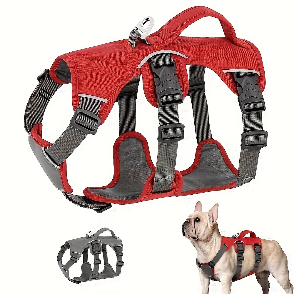 Chest harness dog leash hotsell