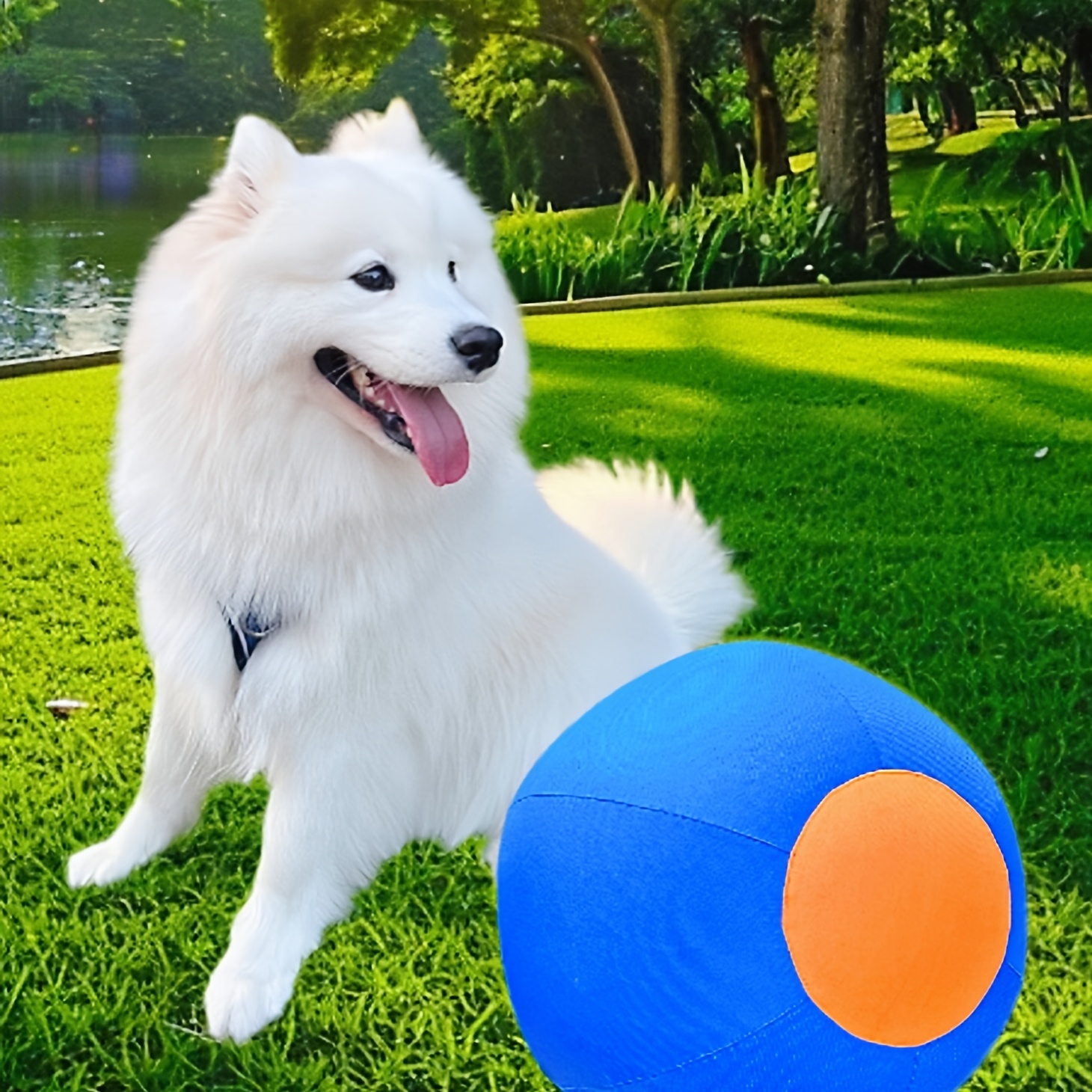 TEMU Pet Inflatable Ball Toys, A Full Set Of Dog Balls, Golden Retrievers, Bite-resistant Balls, Boring Balls, Pet Training Balls, Dog Balls,