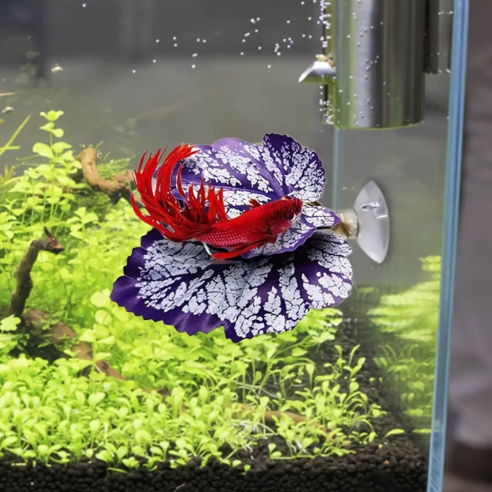 Aquarium Plants Unusual Fish Tank Decorations Aesthetic Cute Fish