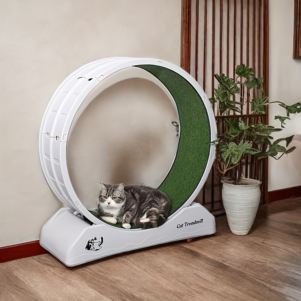 1      cat   for     cat       carpeted   locking cat treadmill    r     suitable for     details 0