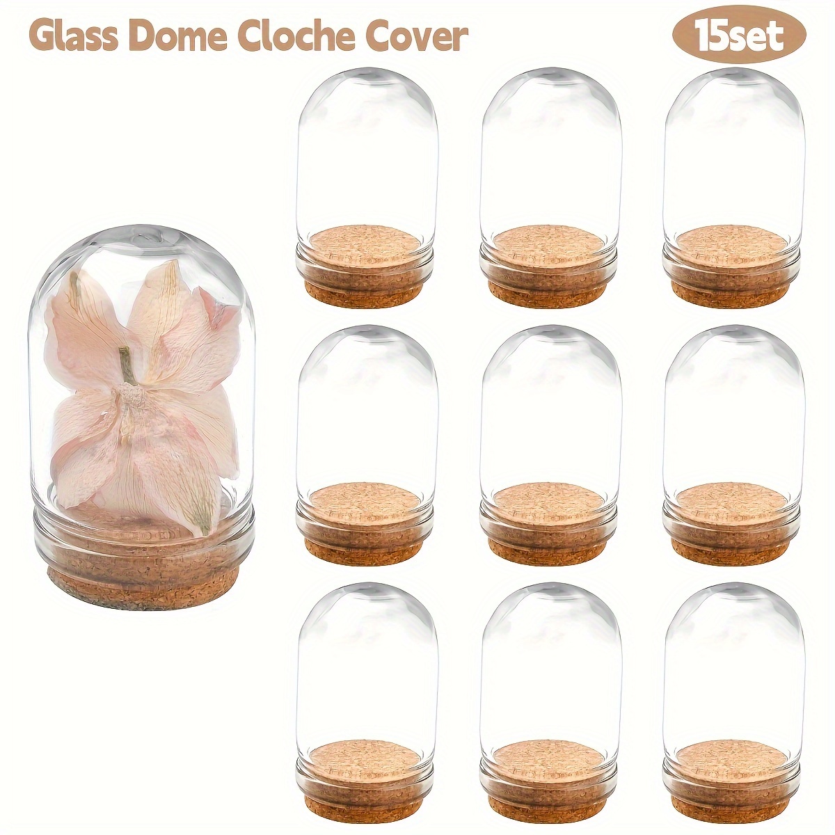 E-shop 15 Transparente Glasbehälter mit Korkböden, Mini-Aufbewahrungsgläser, Kleine Flaschen für Trockenblumen-Deko, Party-Favors, DIY-Bastelprojekte