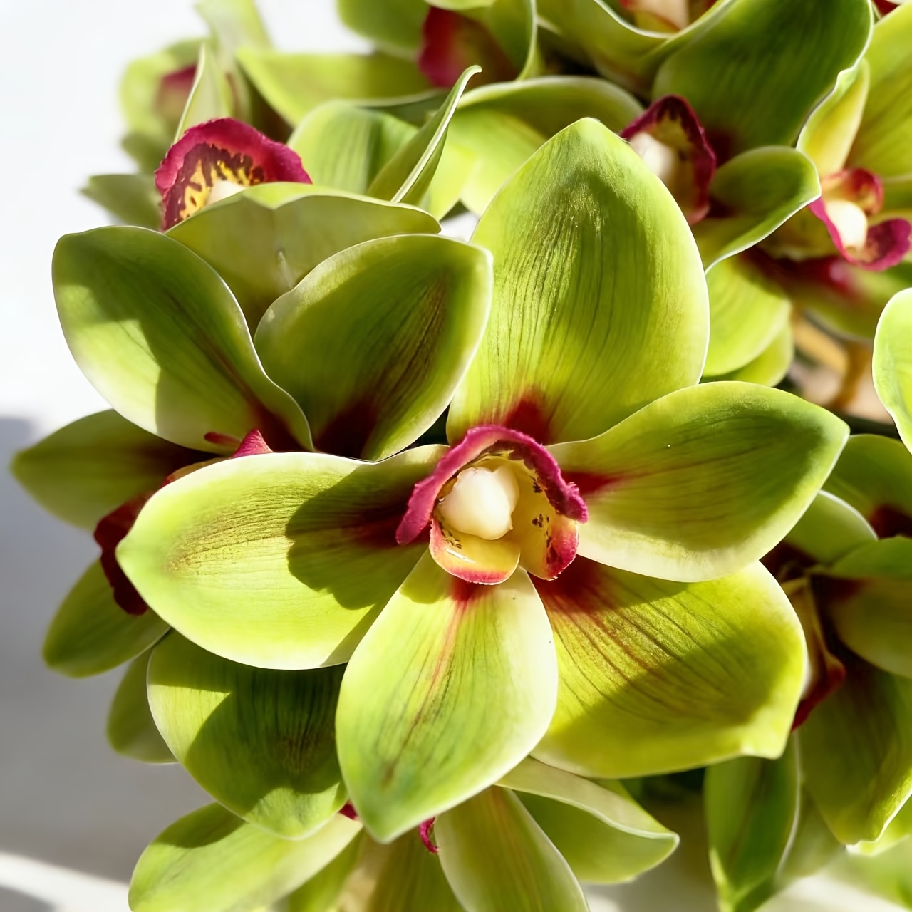 TEMU 7pcs Artificial Orchid Flowers| Real Touch Faux Phalaenopsis Orchid Stems| Flower Decor For Indoor Living Room, Wedding Arrangements, Desktop,