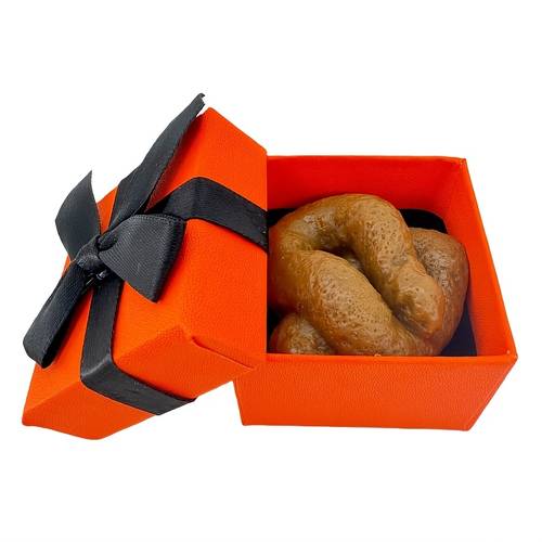 with prank realistic feces gift box halloween christmas birthdays and more funny novelty gift for