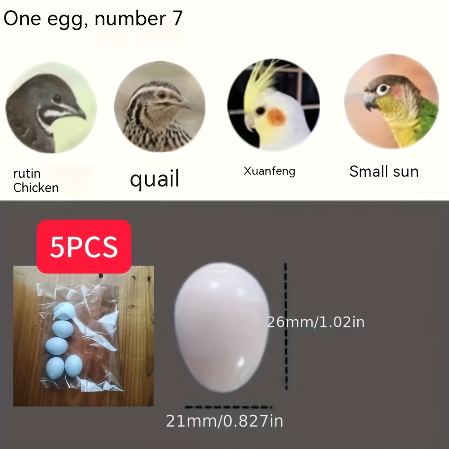 TEMU 5pcs/10pcs Bird Fake Eggs Replacement Eggs Support Eggs For Budgerigar, Canary, Quail, Peony Diy Craft Eggs