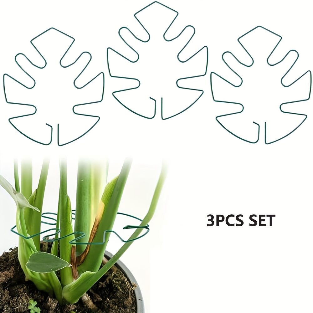 E-shop Set mit 3 goldenen/grünen Pflanzenstielstützen für Monstera, mit einem auffälligen Klemm-Design zur Stabilisierung von Zimmerpflanzen.