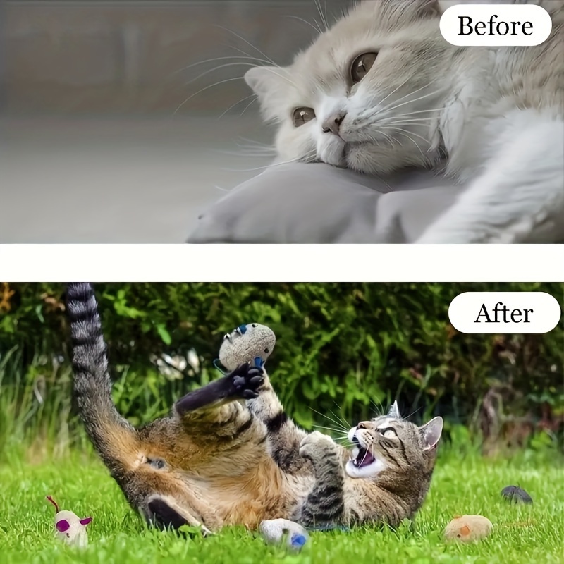 random 3 7 10pcs cat toys mice kitten toys self entertainment interactive toys realistic vanilla mouse interactive cat toys without battery Product details 7