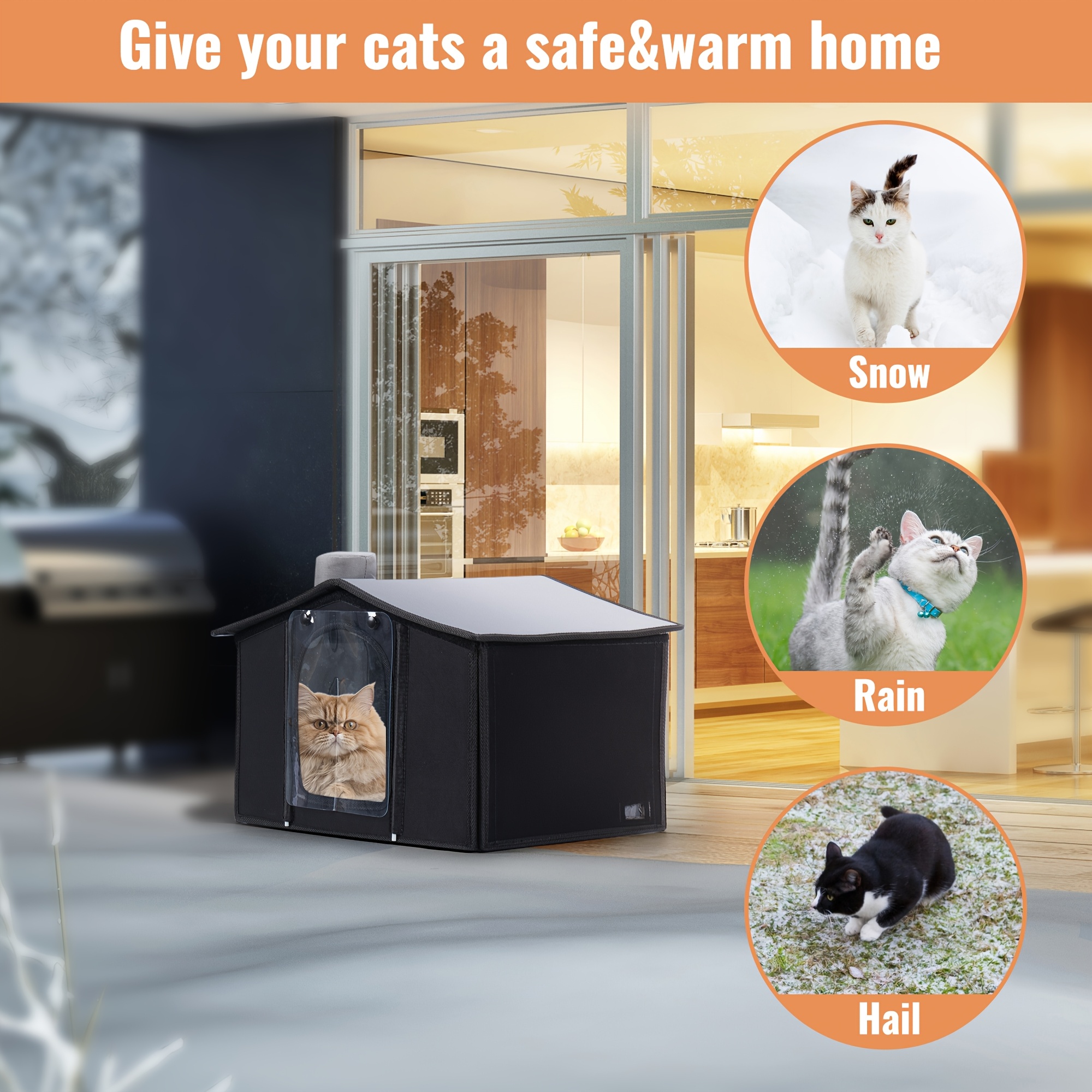 Cat Pet Adoption Shelters Near Me Free Kittens Cats Needing A Home