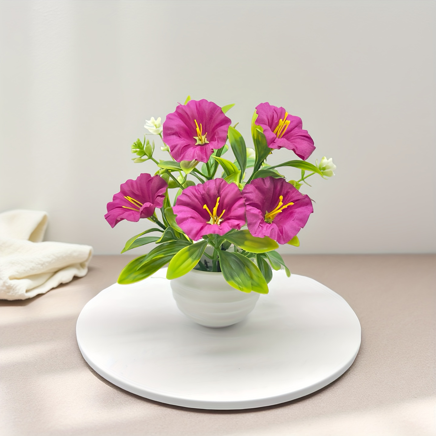 1/6 Set Morning Glory bloemen met pot