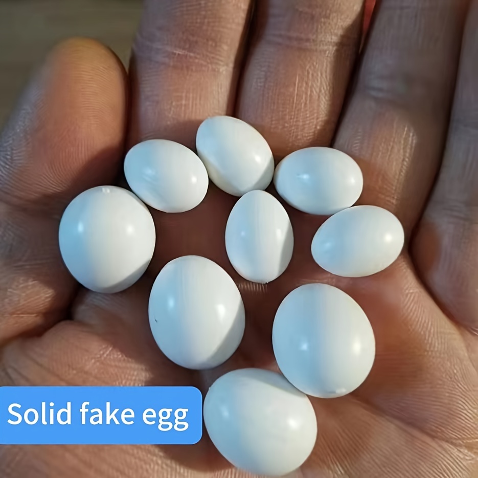 

5pcs Fake , Replacement For Parakeets, , , Diy Use