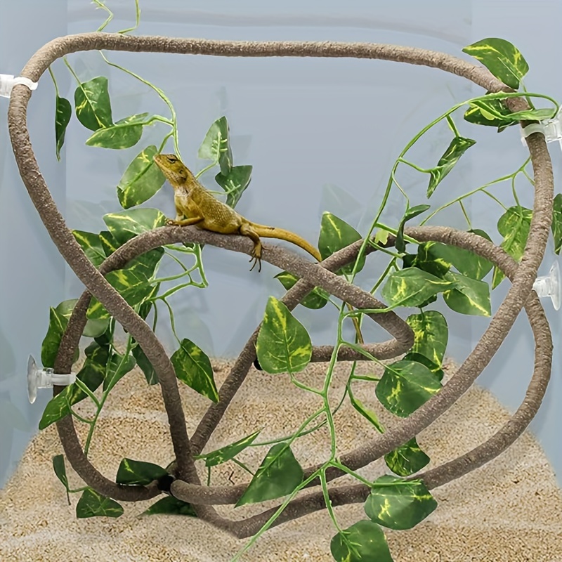 

Set - And Suction For Decor - - For , Lizards,