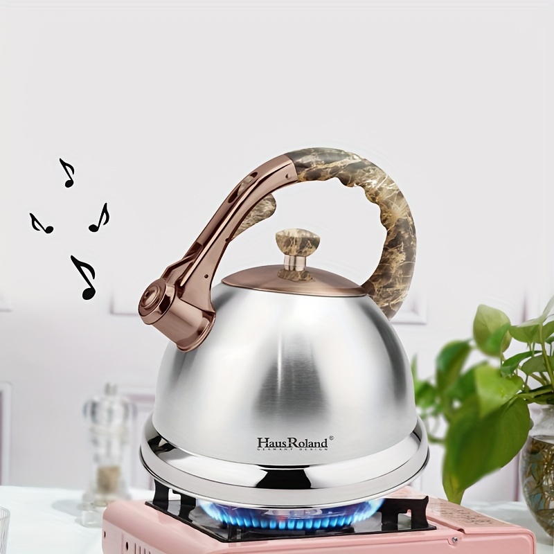 tea kettle stainless steel stovetop Temu