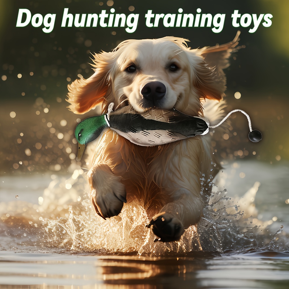 

Dog Hunting Training Toys Fake Duck Fake Chicken Shooting Foam Pet Duck Bite Resistant Bait Dog Toy Fake Duck Trainermallard Toy, Squeaky Dog Toy, Plush Dog Chew Toy