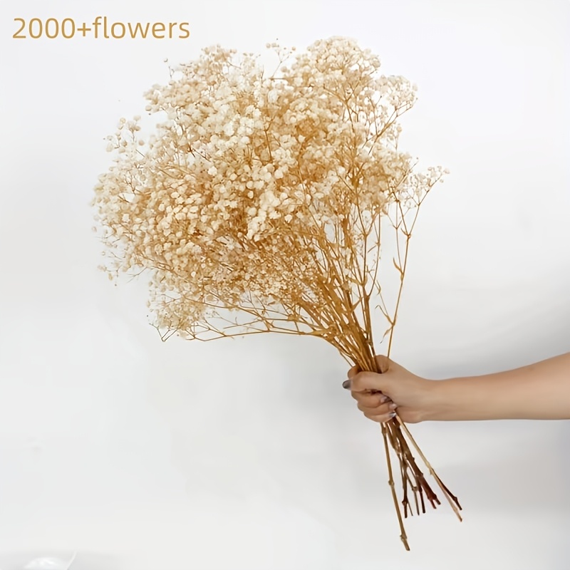 Image of 2000+ Starry Sky Simulation Flowers - Elegant And Delicate, Suitable For Wedding Table Vase Decoration, Home Crafts, Garden And Outdoor Projects - Christmas, Valentine's Day, Easter