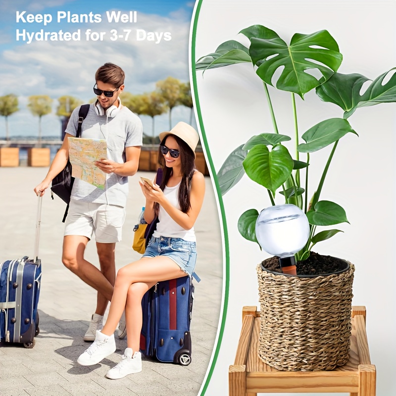 5pcs extra large plant self watering globes plastic - Temu Sweden
