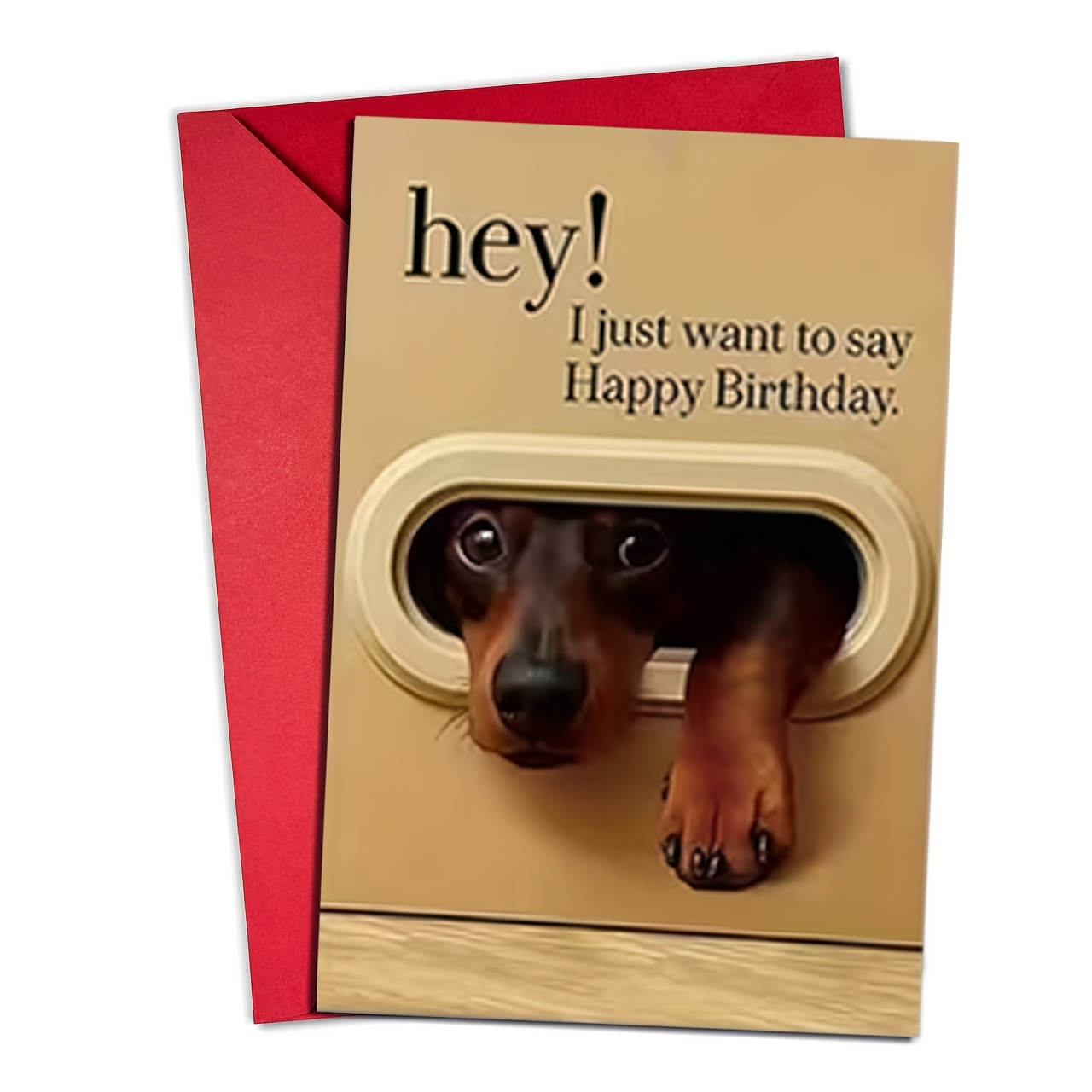 A Humorous Animal-Themed Birthday Card (With Envelope), Featuring Cute Pet Designs, Specifically Made for Dog Lovers, Suitable for Birthdays, Thank You Notes, Christmas, And Everyday Gifting Occasions!