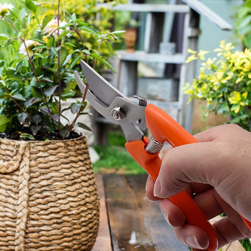 

Garden Scissors For Plant, Tip Pruning Shears For Cutting Flowers, Trimming Plants, Bonsai And Fruits Picking (orange Bypass Blade Pruner)