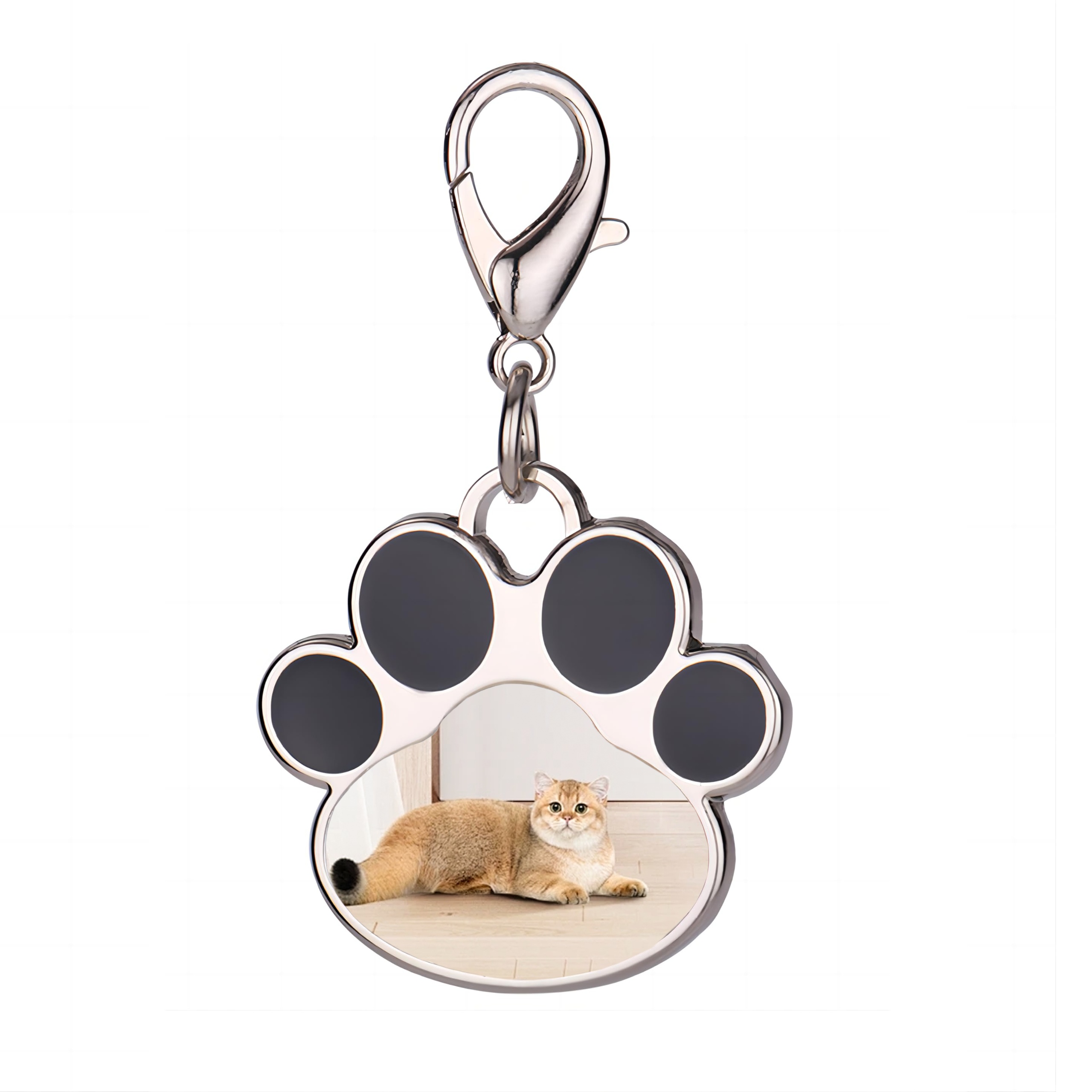 

Personalized Pet Photo Keychain - Customizable Stainless Steel Paw Print Key Ring, Engraved Pet Tag Collar Charm For