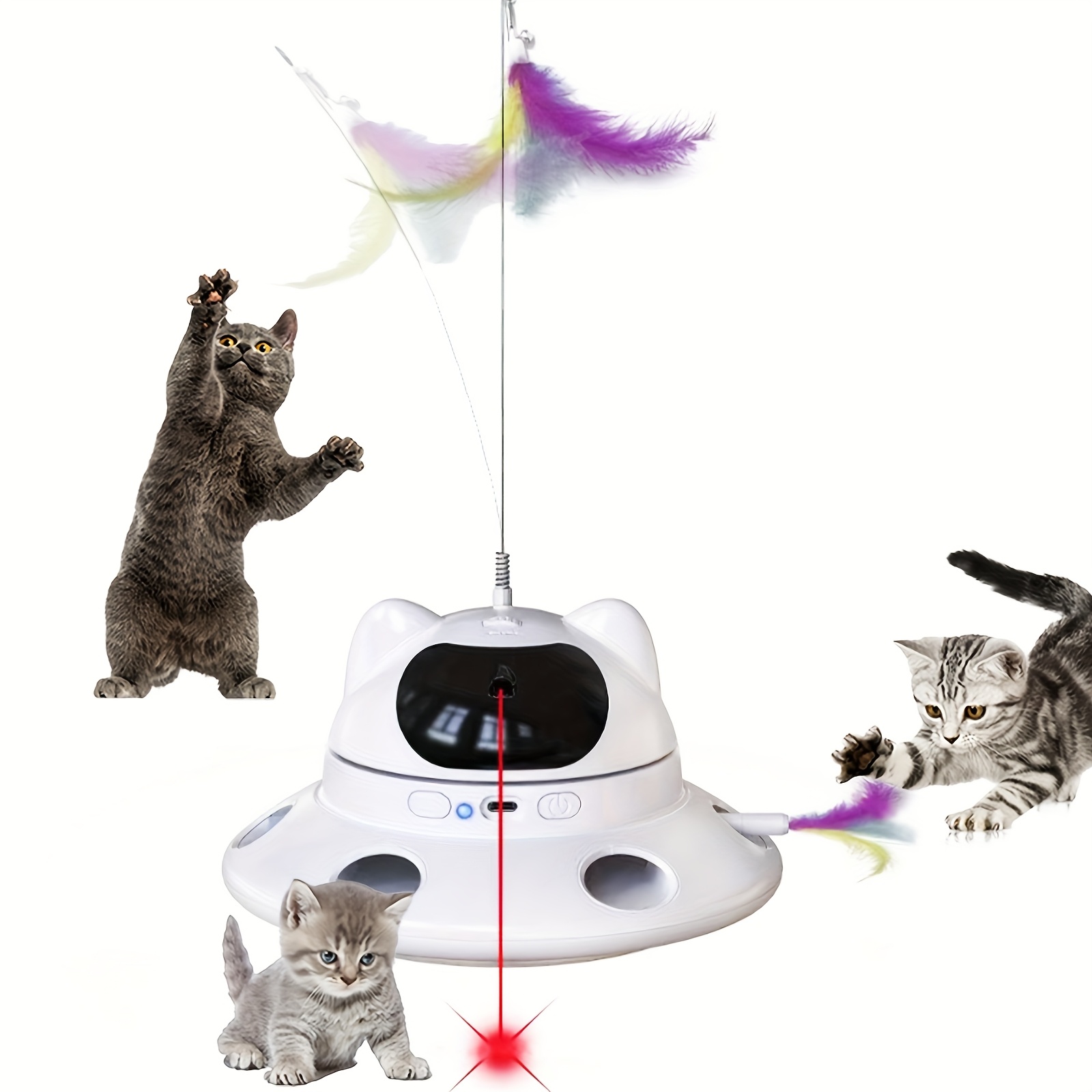 Can Cat Toy Lasers Damage Eyes? Shocking Truth Revealed!