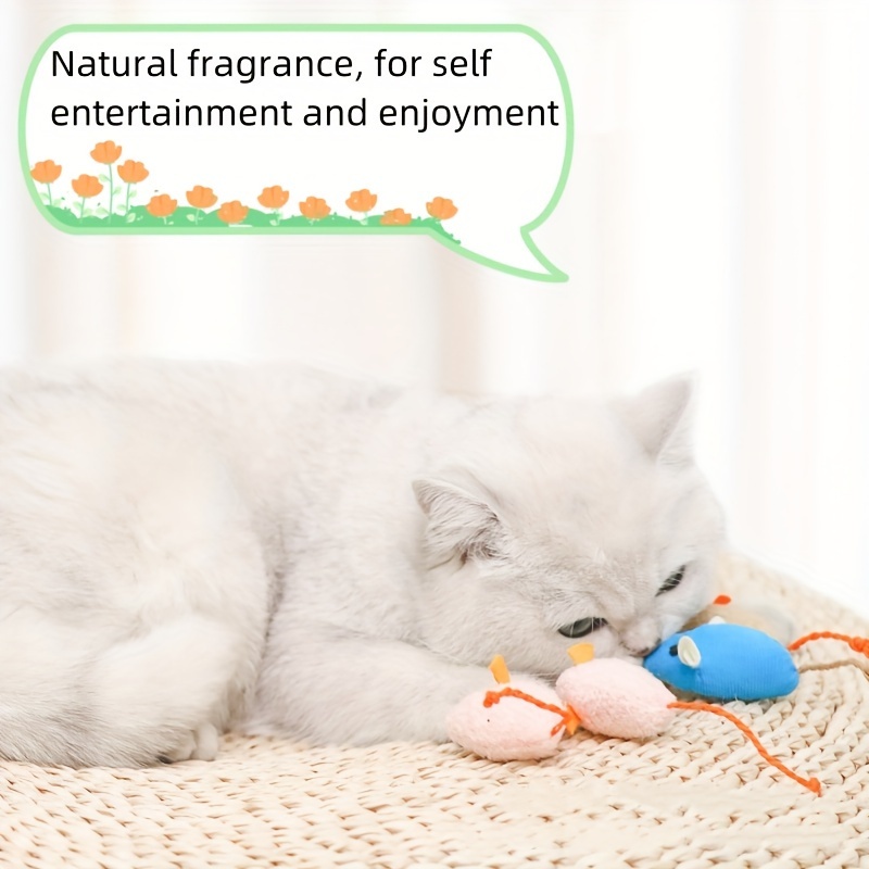random 3 7 10pcs cat toys mice kitten toys self entertainment interactive toys realistic vanilla mouse interactive cat toys without battery Product details 6