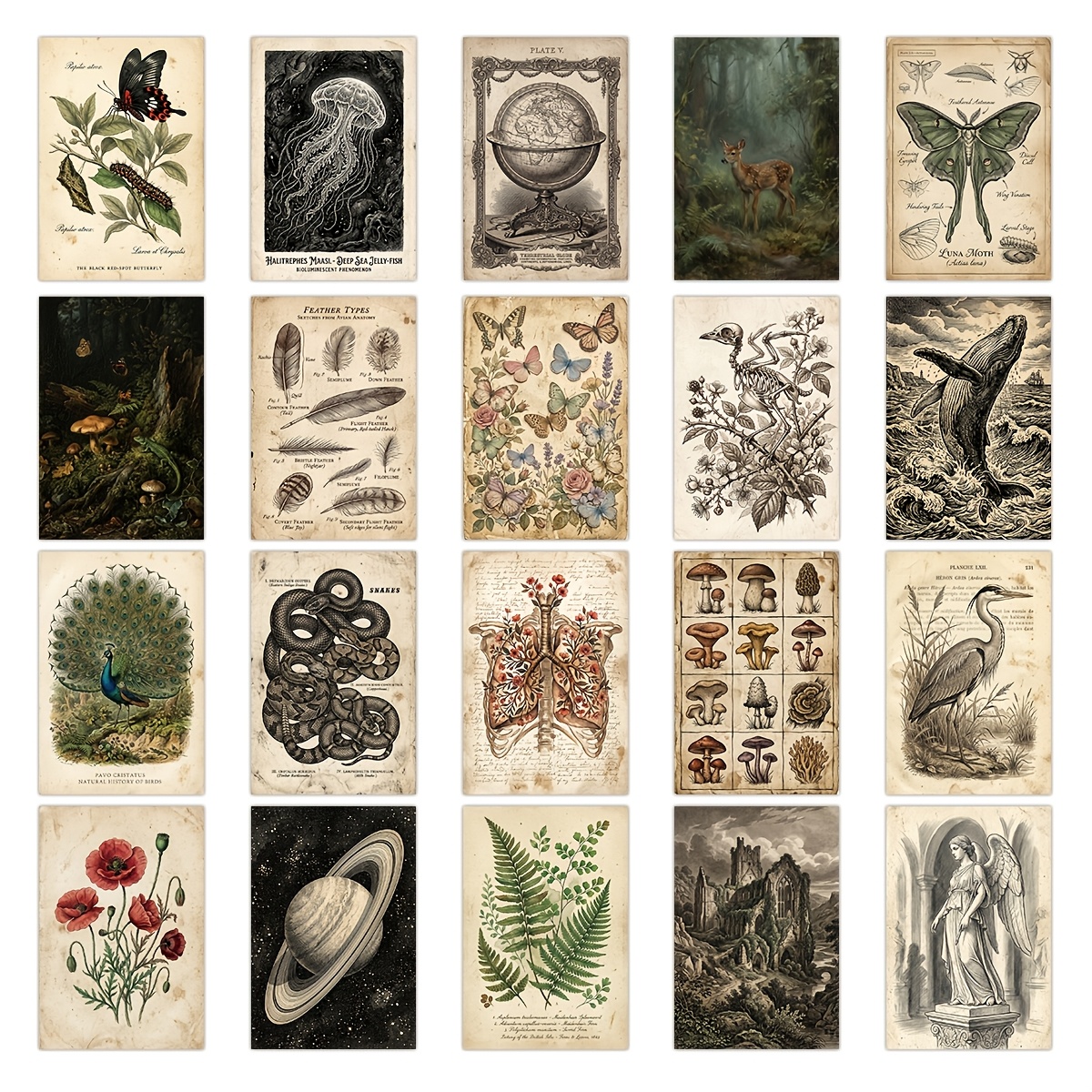 TEMU 2D Plat, 20 stuks Geschikt voor Retro Botanische & Natuurhistorische Ansichtkaarten - Gotisch Geschikt voor Donkere Esthetische Muurkunstprints