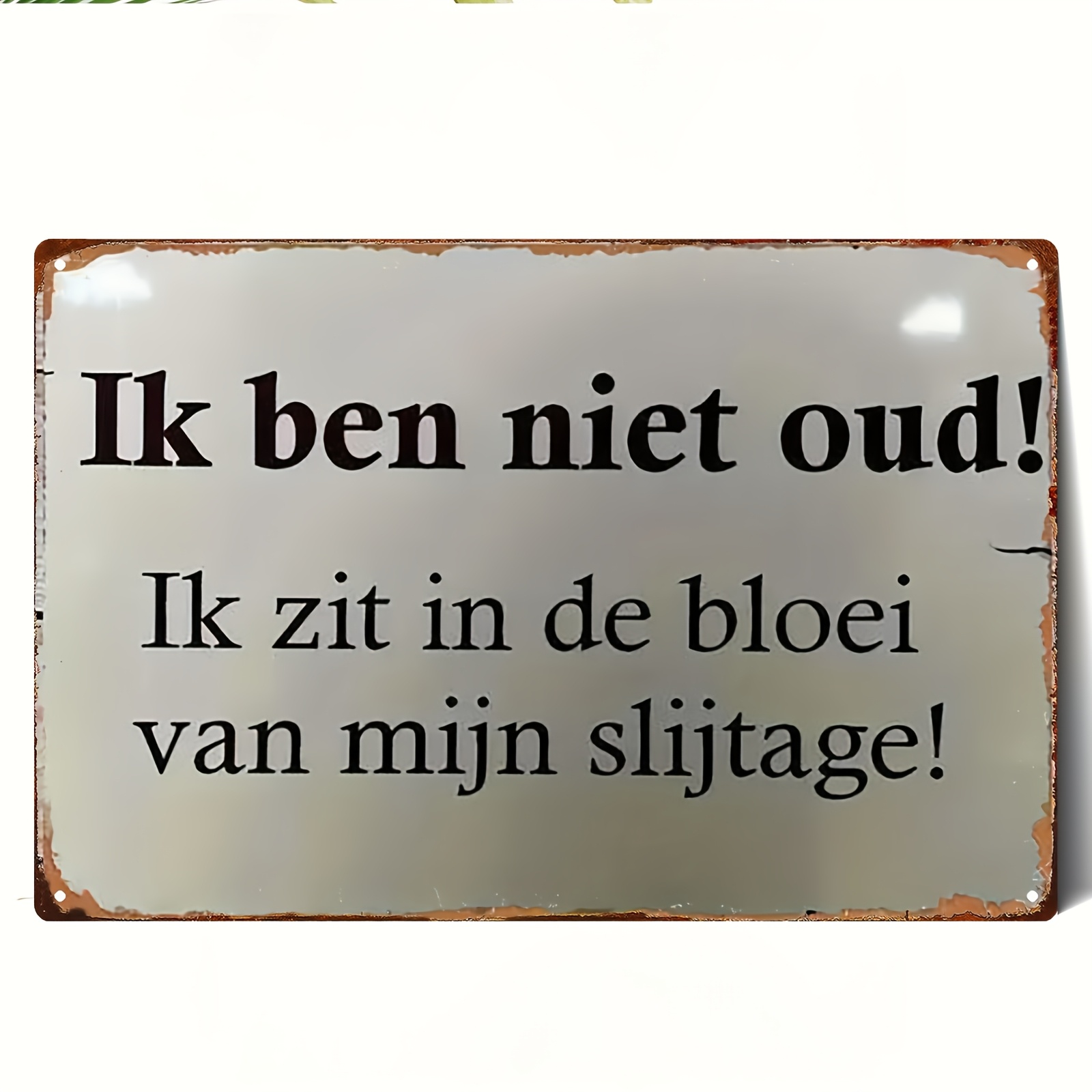 TEMU 2D Plat, Metaal Bord 1 Stuk | IJzeren met Tekstregels "Ik Ben Niet Oud" en "Ik Ben in de Bloei van Mijn " | 20*30cm/8*12inch | Geschikt voor