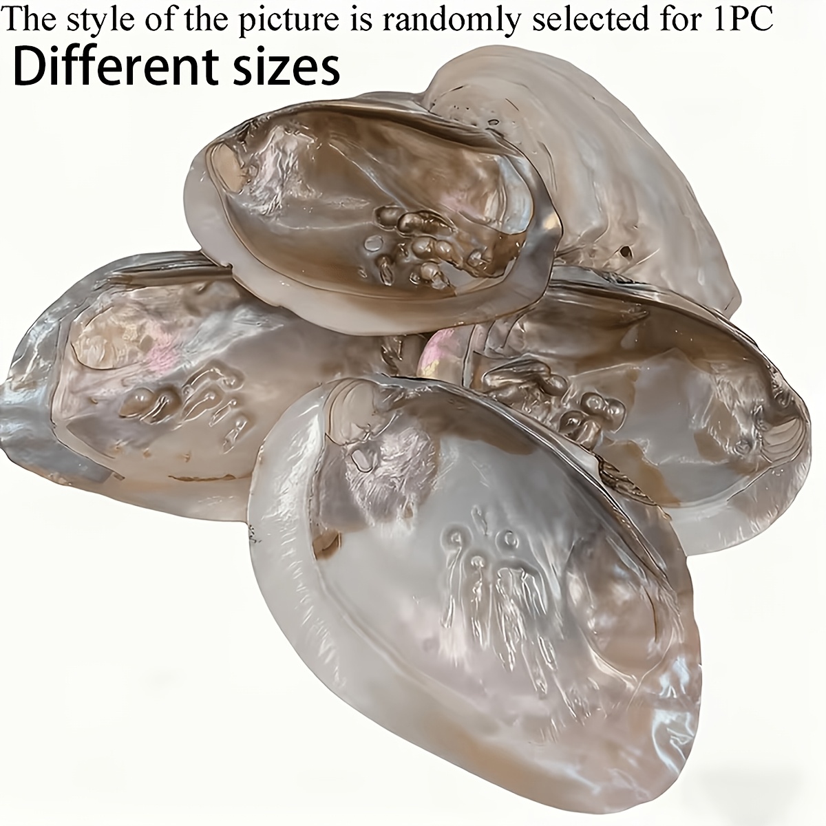 изображение предмета природный большой поднос для украшения из ракушек, поднос для хранения ювелирных изделий в скандинавском стиле, реквизит для фотосъемки фруктов, домашние украшения, фон для фотосъемки (без контакта с пищевыми продуктами)