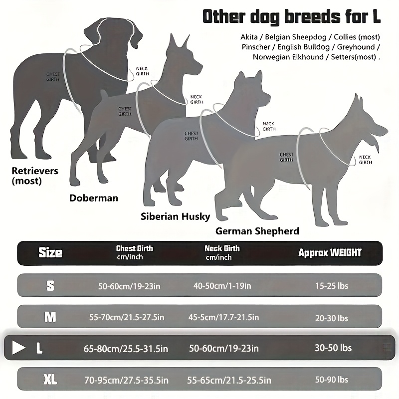 All-in-One Dog Harness, Collar, and Leash Set